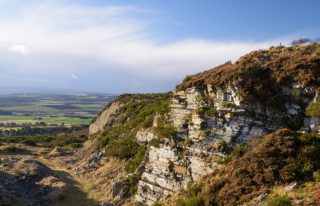 Auchterhouse Hill