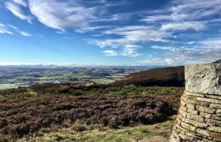 Balkello Hill and Woodland