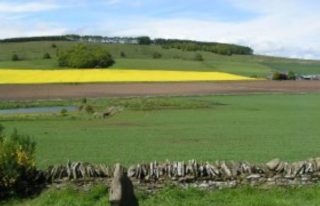 Dunnichen Battle Site and Cairn, Forfar