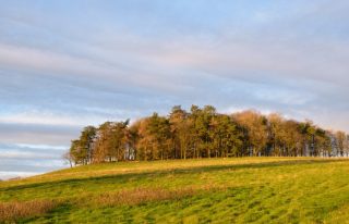 Dunnichen Hill, Forfar, Angus, Scotland
