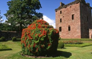 Edzell Castle & Gardens