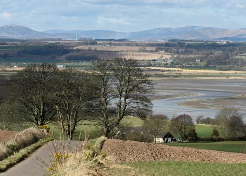 Montrose Basin