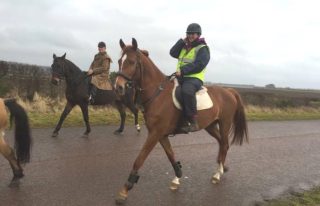 Rowanlea Riding School, Carnoustie