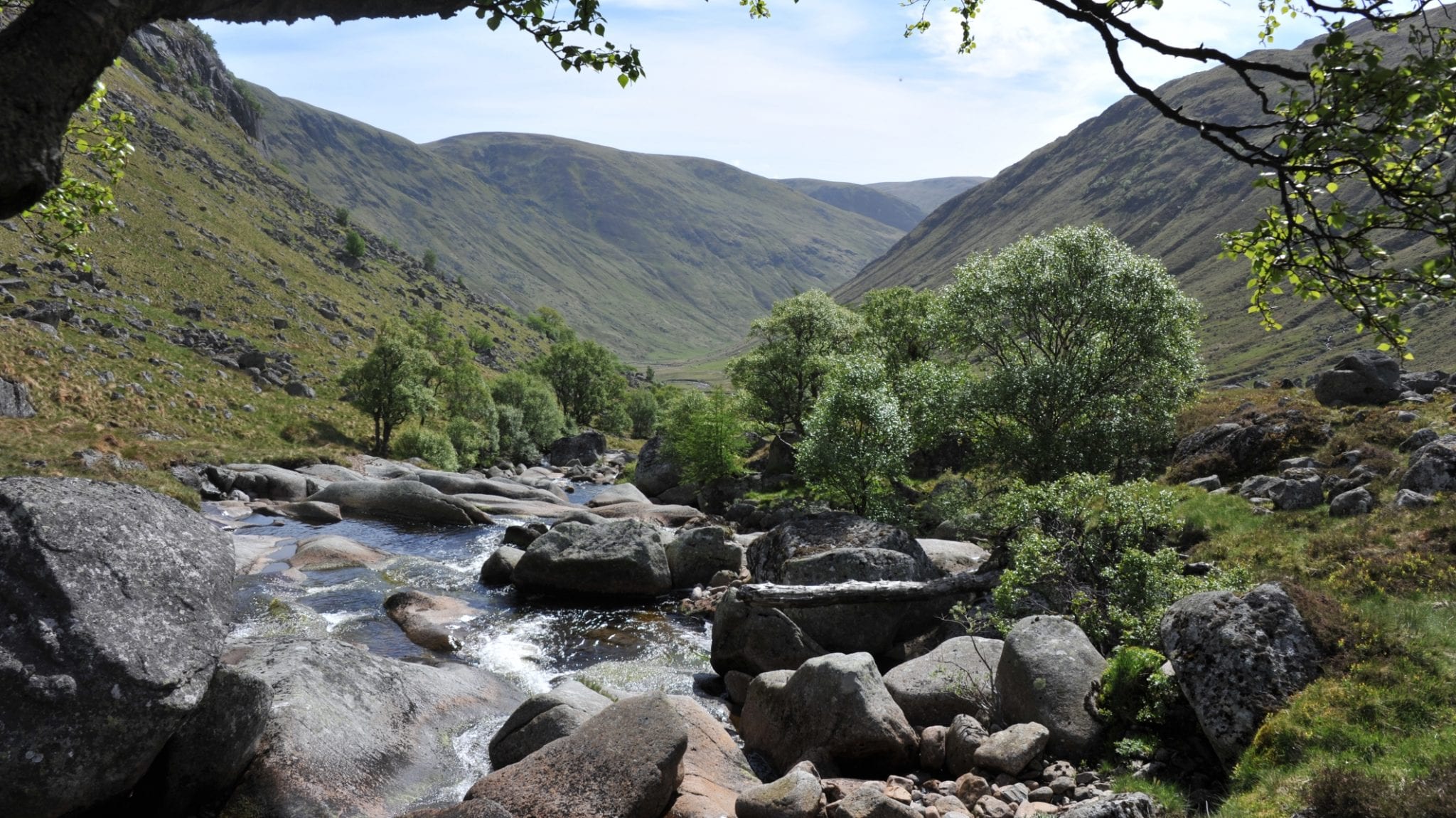 Angus Glens