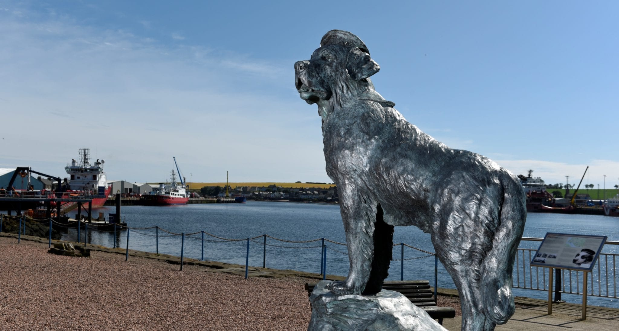 Bamse Statue Montrose