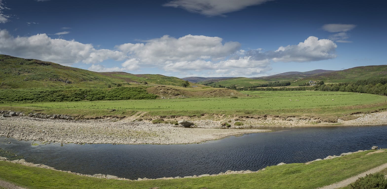 Why Angus is a nature lover’s paradise