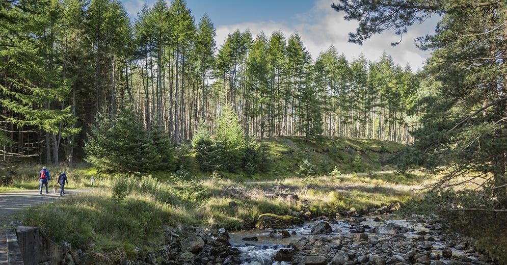 Enjoy the Great Outdoors in Angus