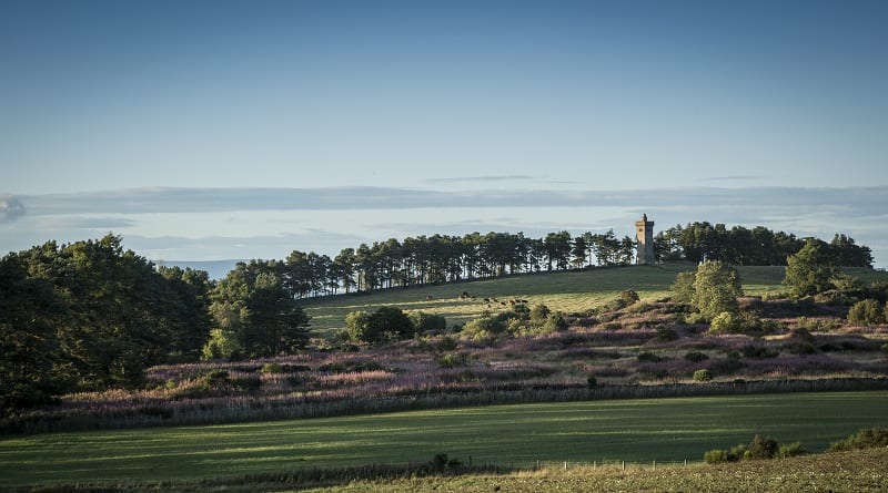 Explore Forfar and Glamis at the Heart of Angus