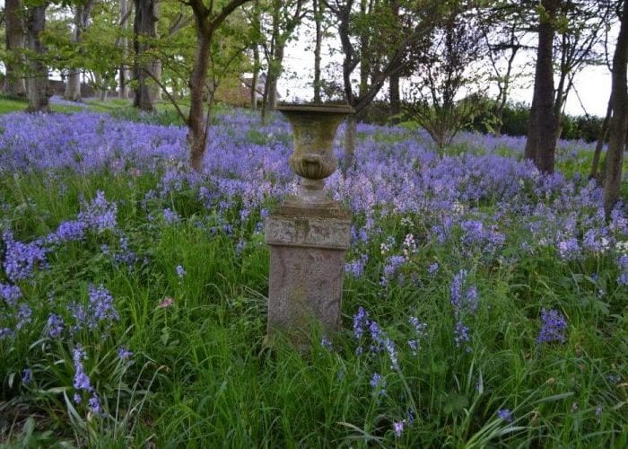 Hospitalfield Gardens