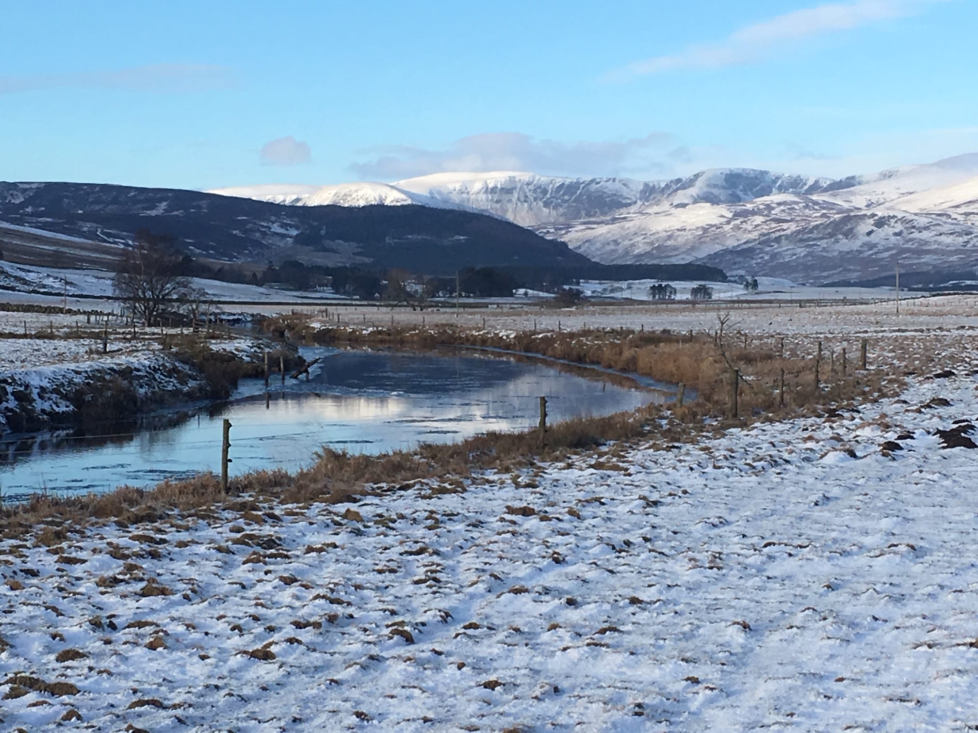 Angus – A Year Round Destination for Wildlife Enthusiasts