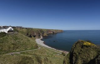 Auchmithie Beach