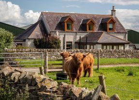 Newton Farm Holiday B&B house with highland cows