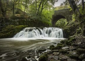 Arbirlot Falls