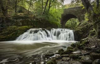 Arbirlot Falls
