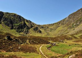 Corrie Fee
