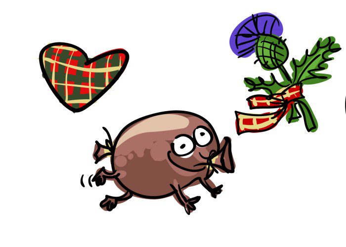 Haggis Trail at Monikie