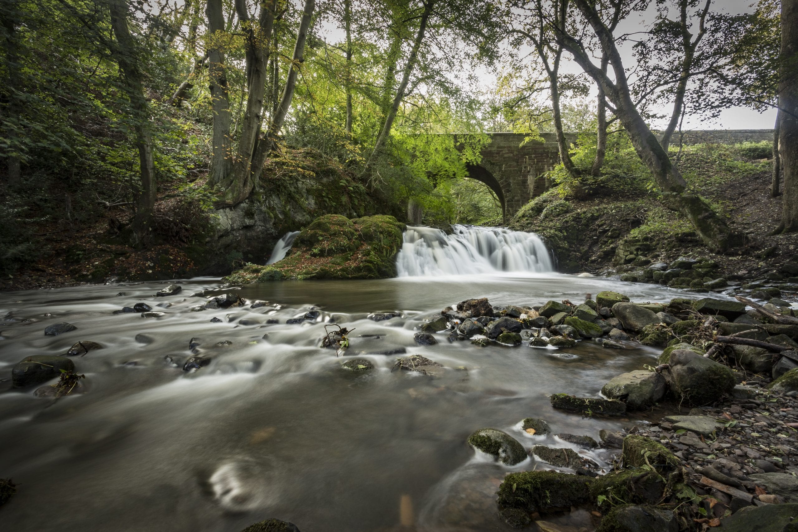Arbirlot Falls
