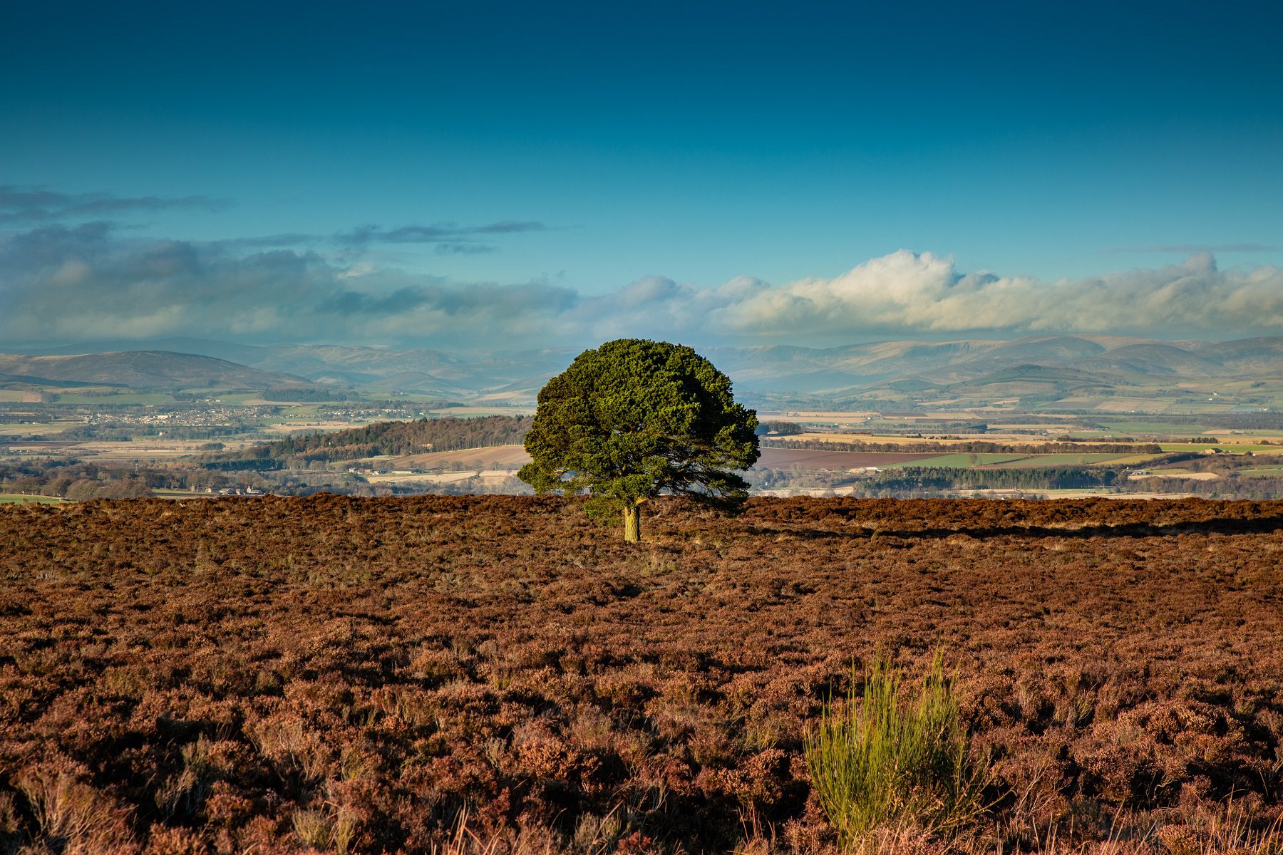 An Insider’s Guide to Beauty Spots in Angus
