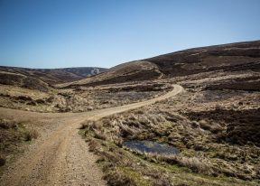 Glen Moy
