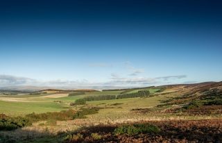 Lumley Den
