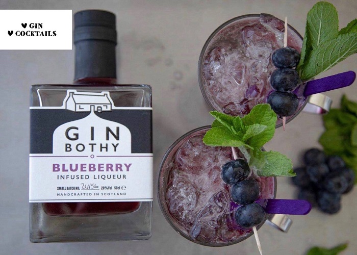 Gin and Cocktails