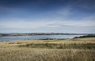 Montrose Basin