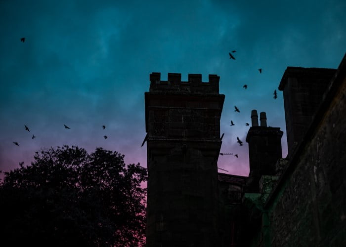Evening Bat Walk at Hospitalfield 2023