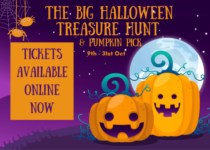 Hallowe'en Treasure Hunt