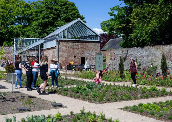 Solidarity Herbal Medicine Making