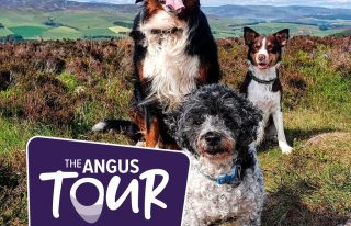 The Angus Tour - Dog friendly holidays