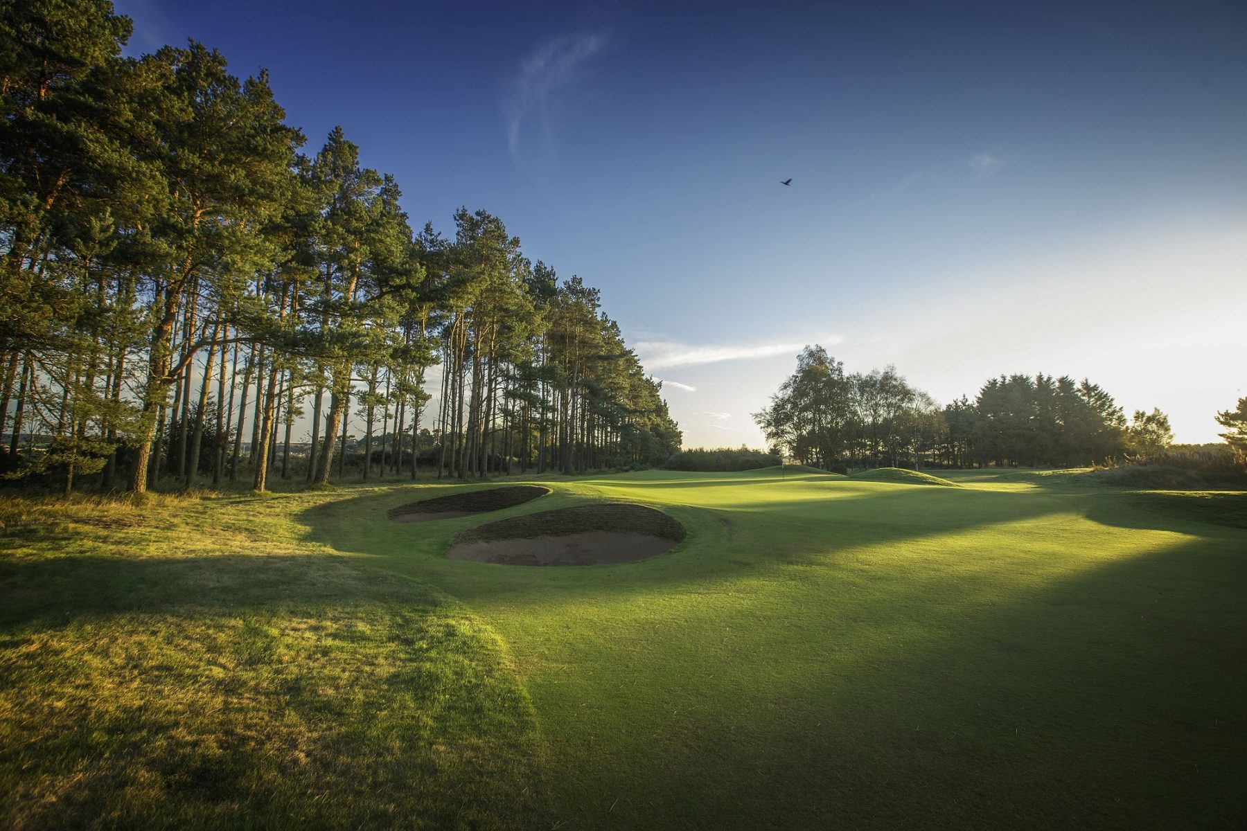 Angus golf stories