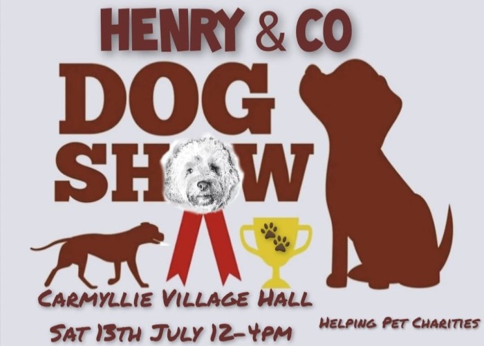 Henry & Co Fun Dog Show