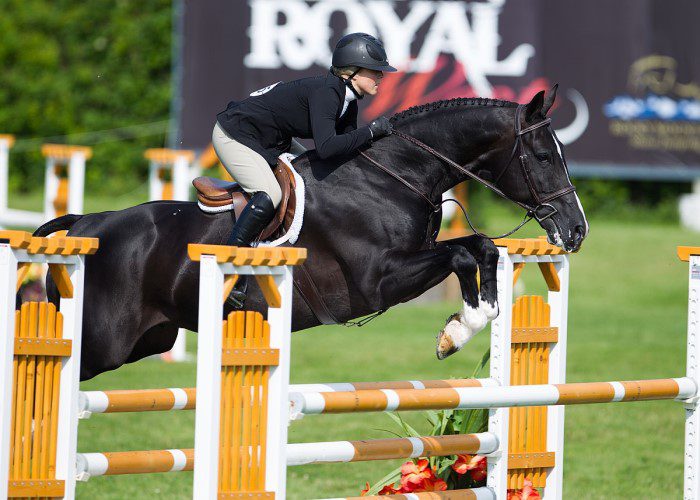 Show Jumping
