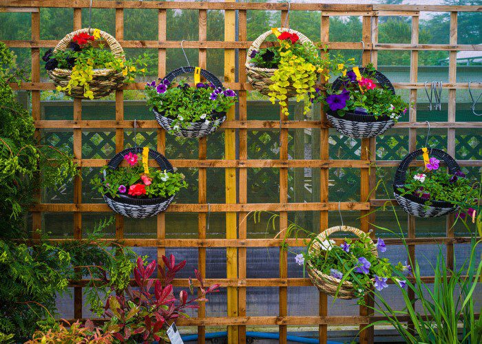 Ashbrook Nursery