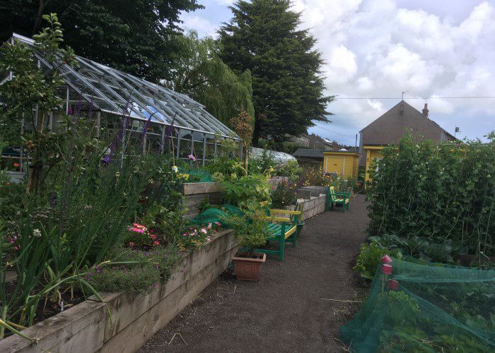 Forfar Open Garden