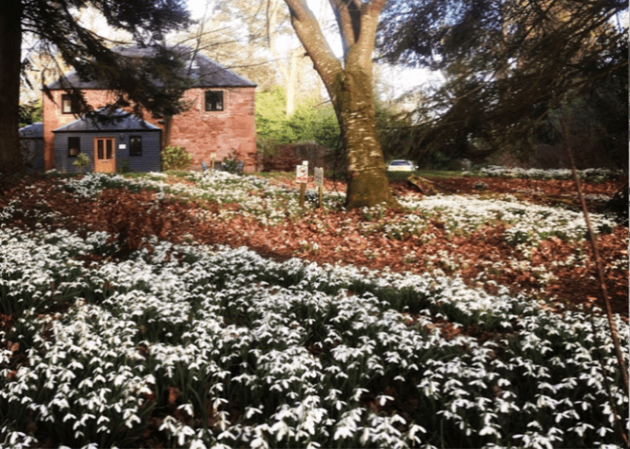 Kinblethmont Gardens