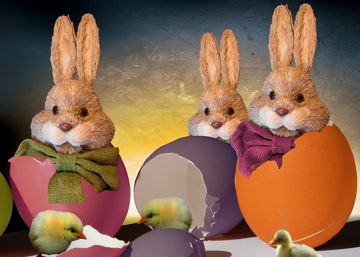 Easter Bunnies in Eggs