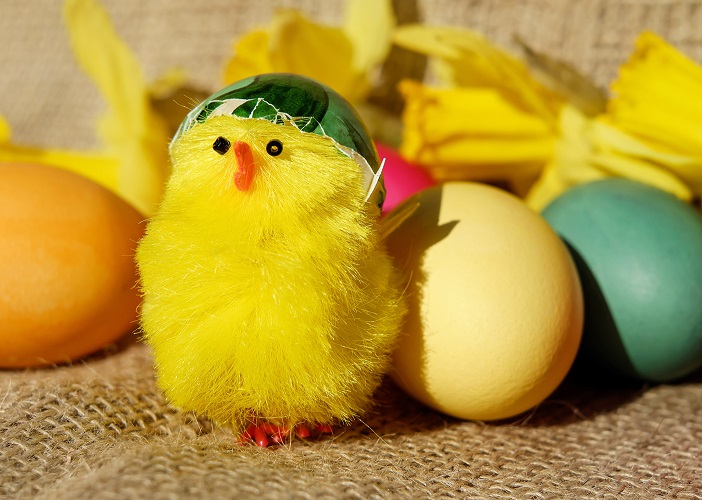 Easter Chick and Eggs