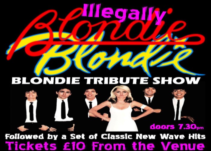 Illegally Blondie