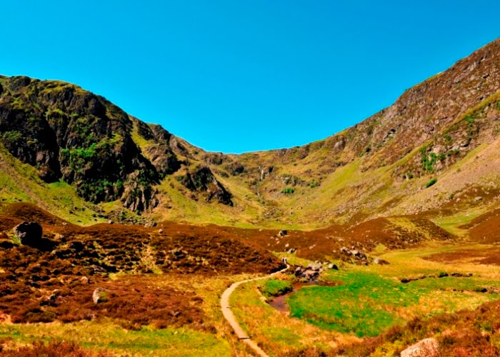 Corrie Fee