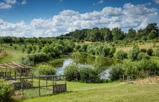Murton Farm and Nature Reserve