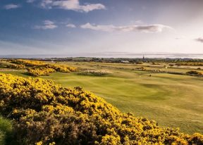 Montrose 1562 Golf Course