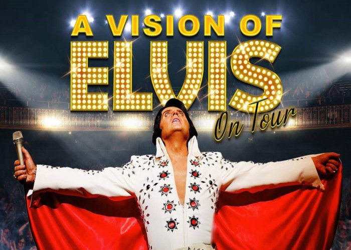 A Vision of Elvis