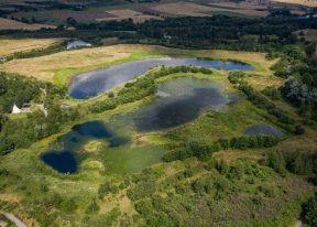 Murton Nature Reserve