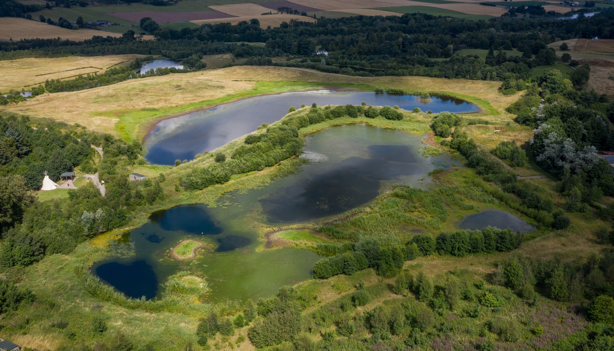 ‘My Angus’ – Discover what’s on your doorstep!