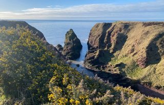 Stories of Stone - Walking Tours in Arbroath