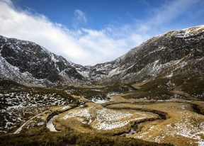Corrie Fee