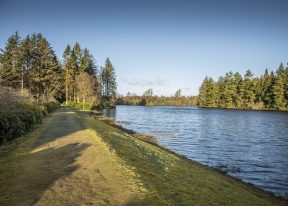 Crombie Country Park