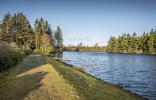 Crombie Country Park