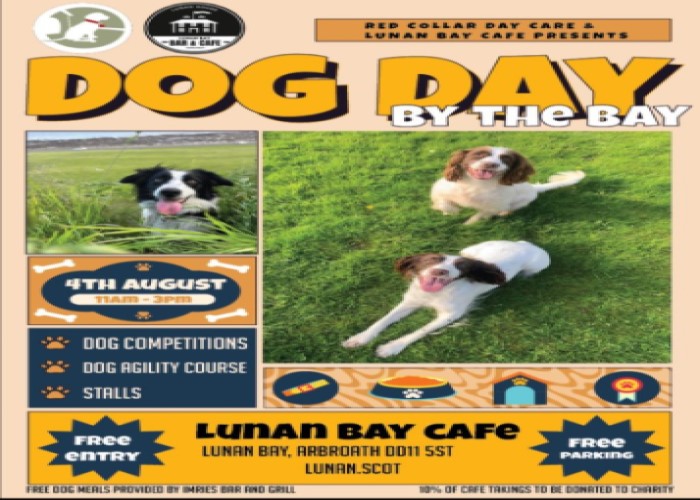 Dog Day at Lunan Bay